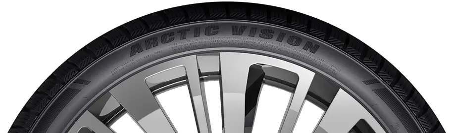 ARCTIC VISION