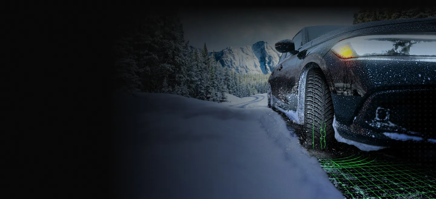 Rovelo Winter Tires